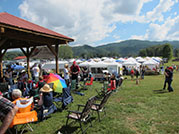 townsend festivals