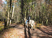 horseback riding