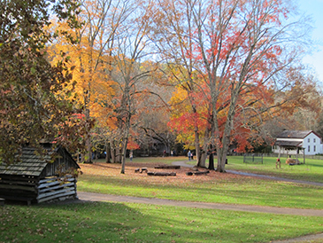 fall cades cove