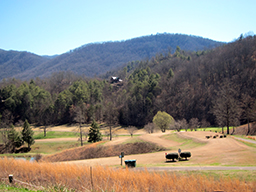 laurel valley golf course