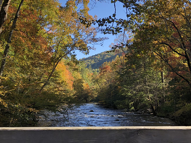 metcalf bottoms