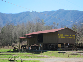 riding stables